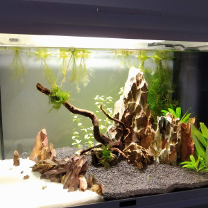 Publication de Nico83