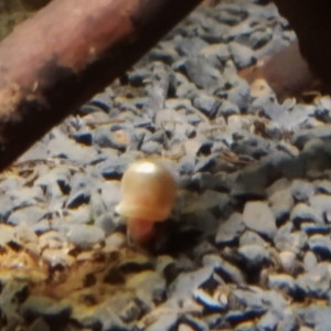 Publication de Nico83