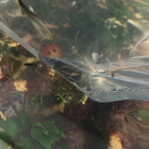 Publication de mmichel20