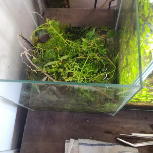 Publication de MrBear