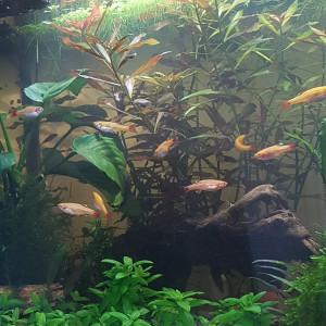 Publication de Mevew