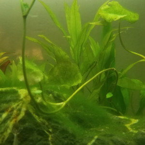 Publication de frederic_l