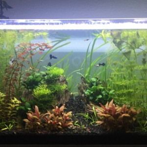 Publication de Alexxis