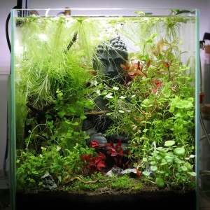 Publication de MrBear