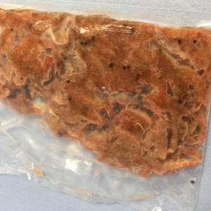 Krill superba congelés (1kg)