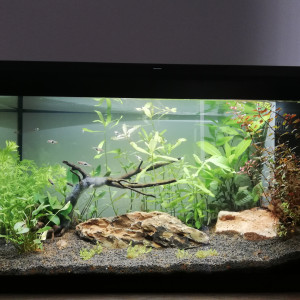 60 L