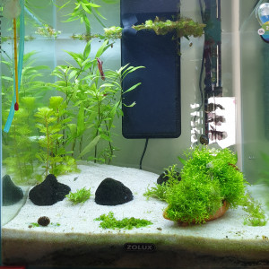 50L