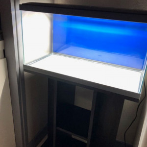 Publication de lea.marie