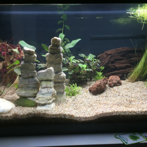 Publication de Raphpoissonglobe