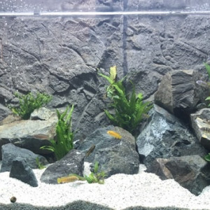 OSAKA 240L MALAWI