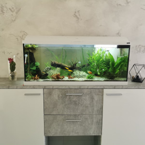 120L