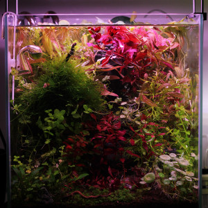 Publication de MrBear