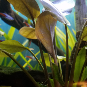 Publication de Lulu82