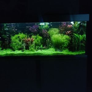 Publication de jonathan-provang