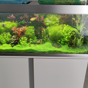 Publication de jonathan-provang