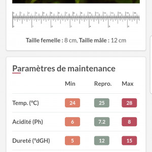 Publication de LionGad