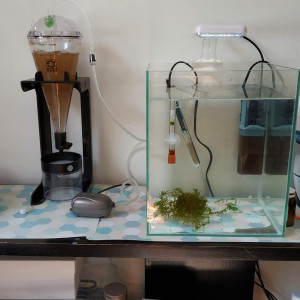 Publication de fplanglois