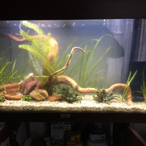 Publication de d4v1d