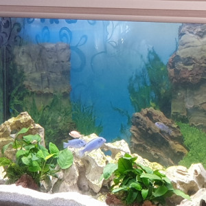 Publication de nonop