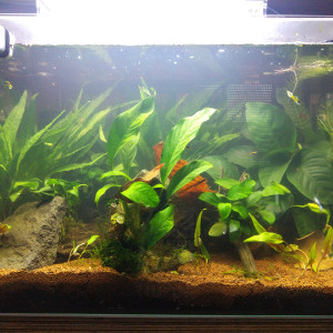 50L