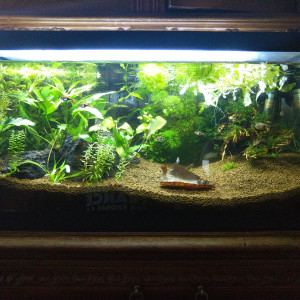 50L