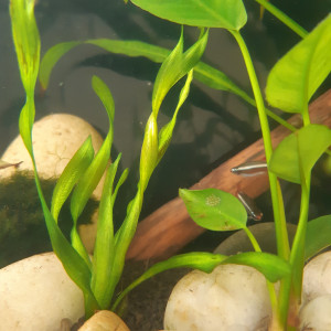 Publication de Beni.T