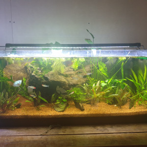 Publication de amandine-gady