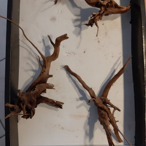 Publication de Fouch1