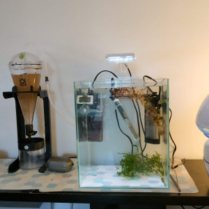 Nano incubateur élevage