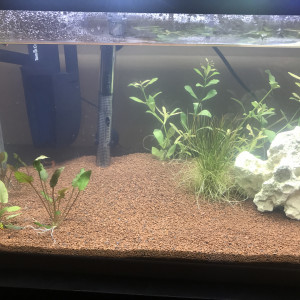 Publication de Lluucciiee