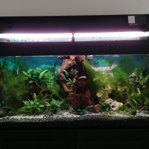 Publication de fredfish72