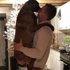 guillaume-lemelletier