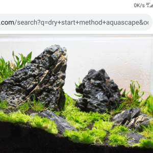 Publication de Stef7524
