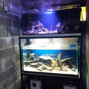 Publication de eddy38