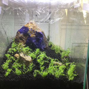 Publication de Stef7524