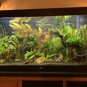 Publication de Juju690