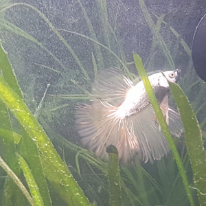 Publication de Eric78