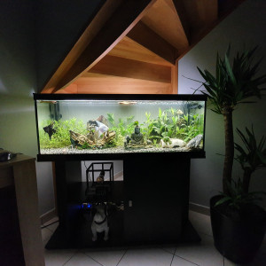 Premier Aquarium