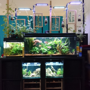 Publication de MarleneMLX