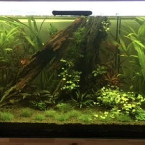 300l
