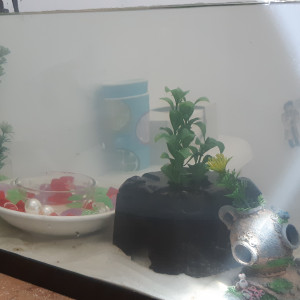 10G