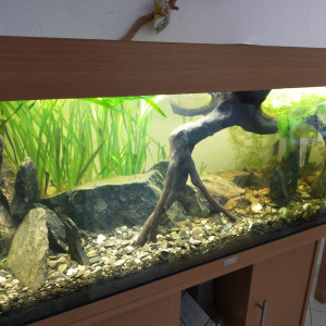 Publication de GreG-Entomo