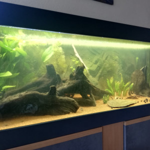 Publication de D_Venoge