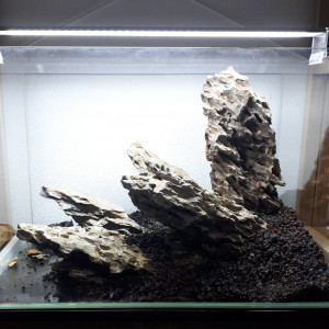 Publication de Bibimbap