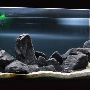 Tanganyika 126L