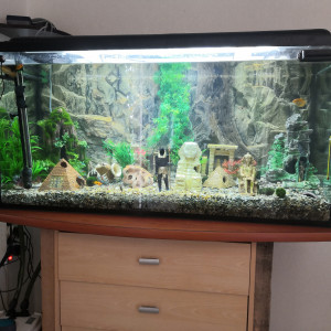 Publication de philippe-rolland