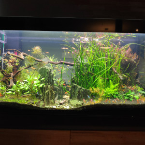 420 litres