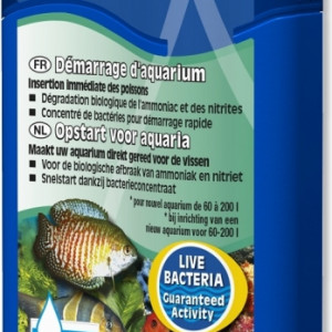 Publication de Pussykat01