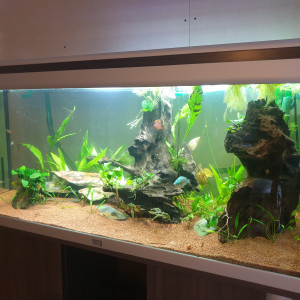 Publication de amandine-gady