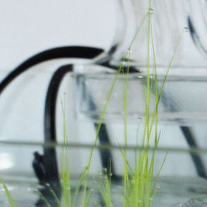 Publication de fplanglois